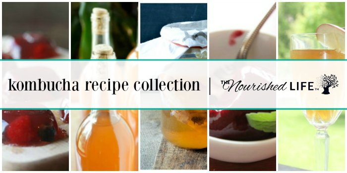 Here are the top kombucha recipes for probiotic lovers everywhere - from livingthenourishedlife.com