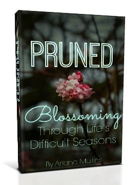 Pruned Book Cover