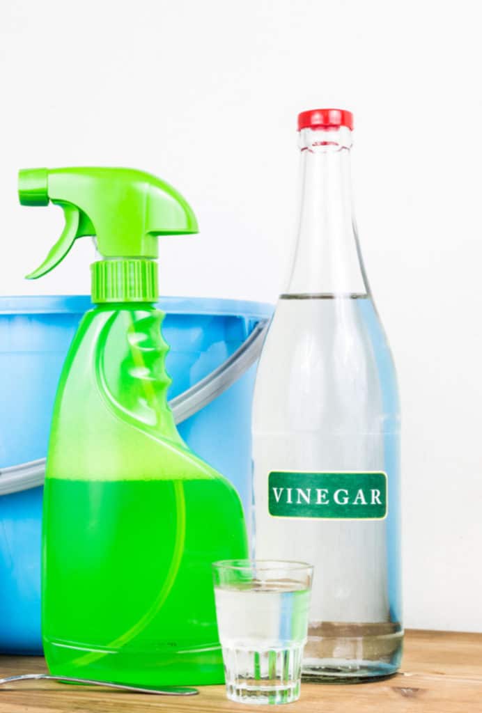 A glass bottle of white vinegar next to a green spray bottle
