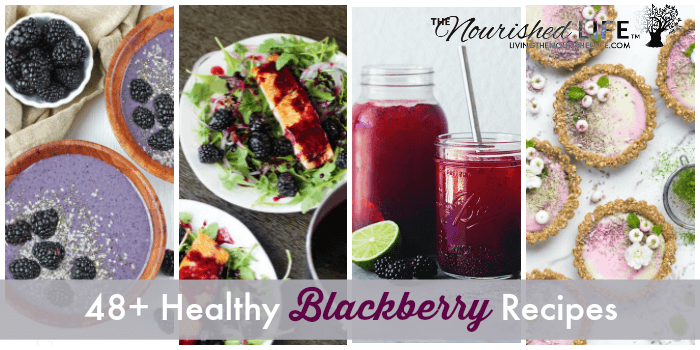 Easy and healthy blackberry recipe collection