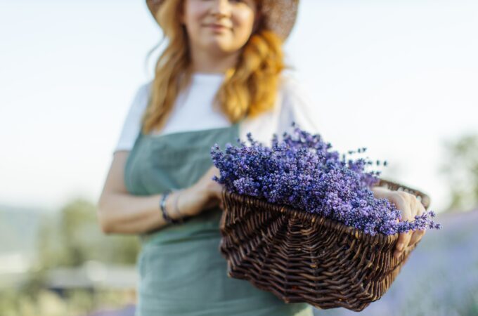 What-to-do-with-Lavender-at-Home