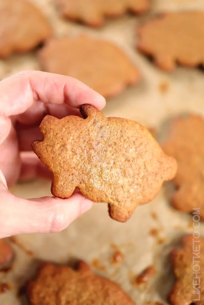 LikeHotKeto-Marranitos-Mexican-Gingerbread-Pig-Shaped-Cookies